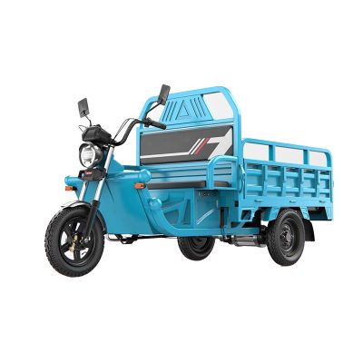 Electric cargo tricycle