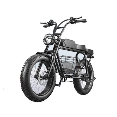 Adult electric bicycle