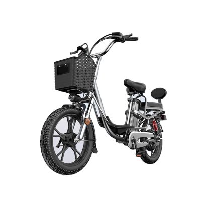 folding electric bicycle