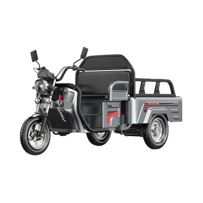 Best electric tricycle for sale