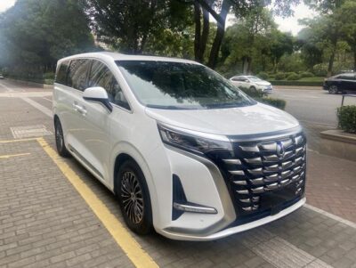 Denza D9 DM 2022 1040 Premium Model