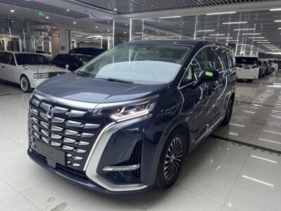 Denza D9 DM 2024 980 four-wheel drive flagship model