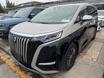 Denza D9 EV 2022 600 four-wheel drive premium model Denza D9 EV 2022 600 four-wheel drive premium model