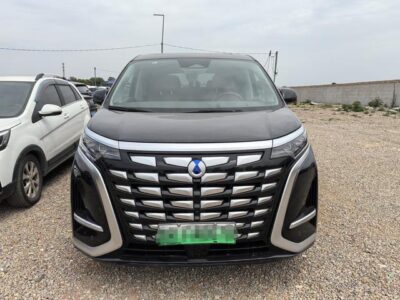 Denza D9 DM 2022 970 four-wheel drive flagship model