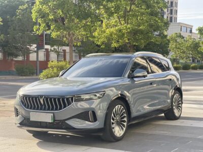 Lantu FREE 2021 four-wheel drive extended range first commemorative edition exclusive package