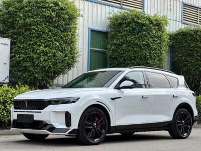 VOYAH FREE 2025 318 rear wheel drive travel version